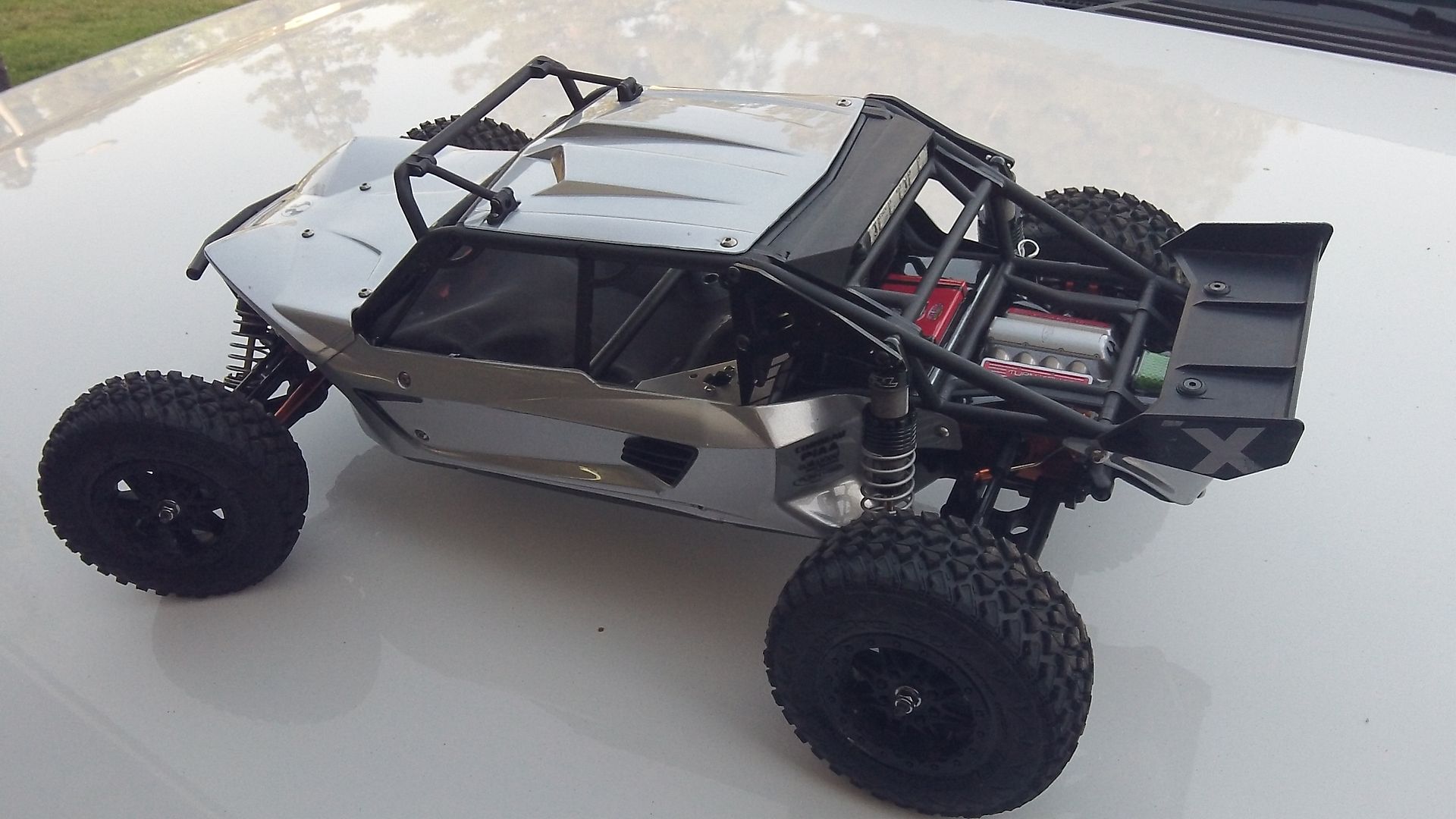 exo terra buggy for sale